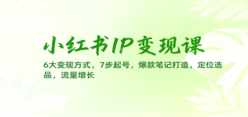小红书IP变现课：6大变现方式，7步起号，爆款笔记打造，定位选品，流量增长-摇钱树